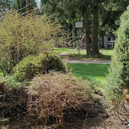 Crisand Wald &terrasse Altenau (Lower-Saxony)