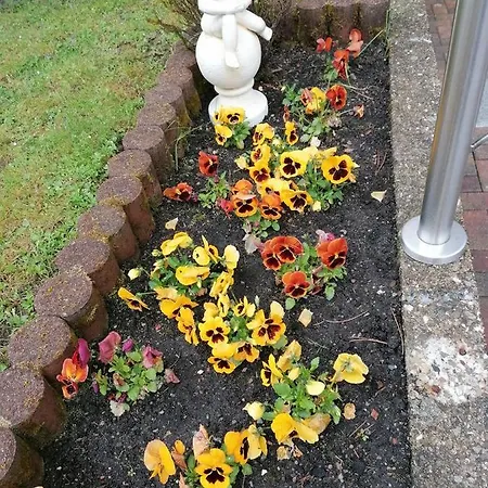 Crisand Wald &terrasse 아파트 알테나우