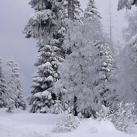 Crisand Wald &terrasse *
