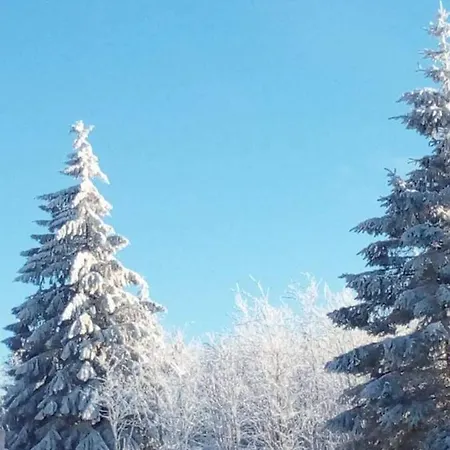 Crisand Wald &terrasse *