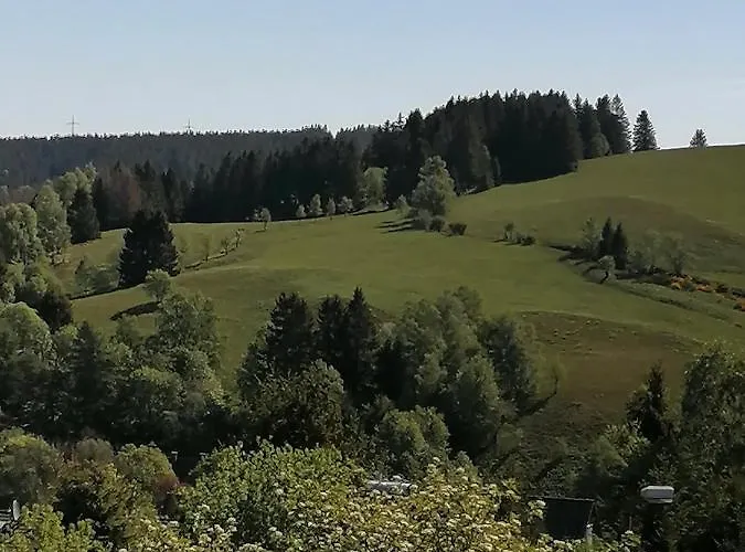 Crisand Wald &terrasse 公寓 *