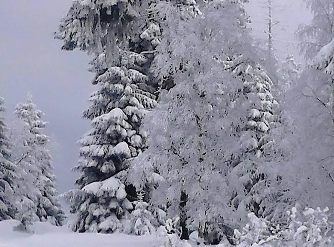 Crisand Wald &terrasse *